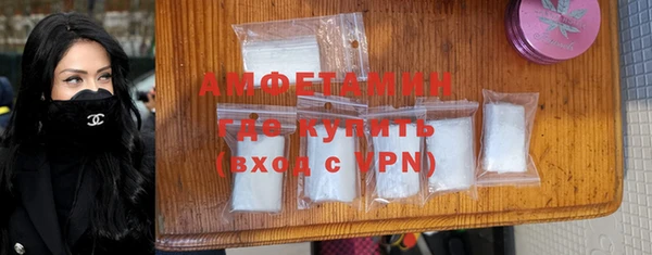 ГАЛЛЮЦИНОГЕННЫЕ ГРИБЫ Коряжма