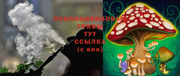 мдма Приозерск