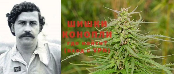 PSILOCYBIN Баксан